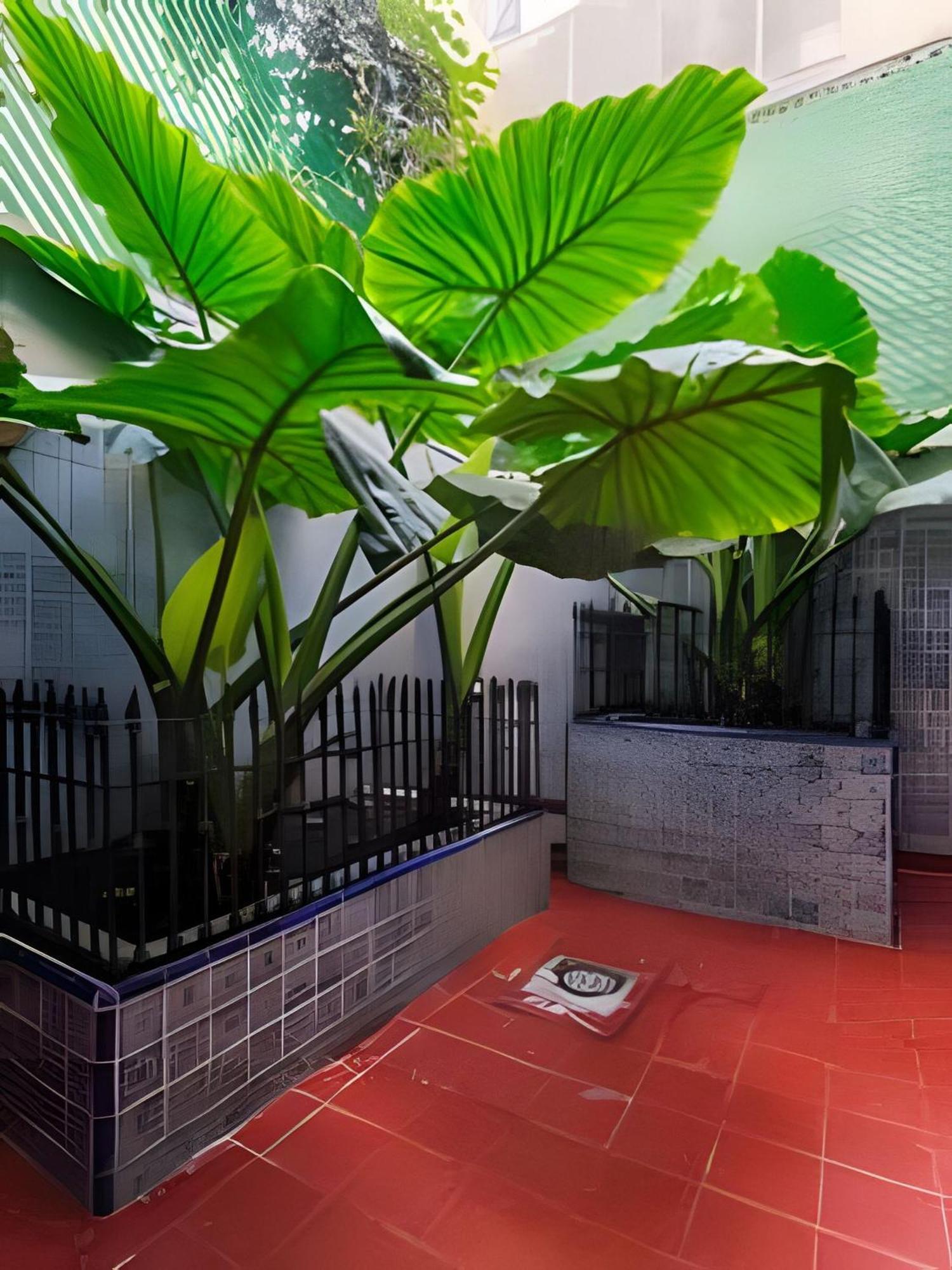 Holiday home Maravillosa Casa Coco Mexico City